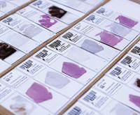 Multiple microscope slides with tissue samples arranged on a table.